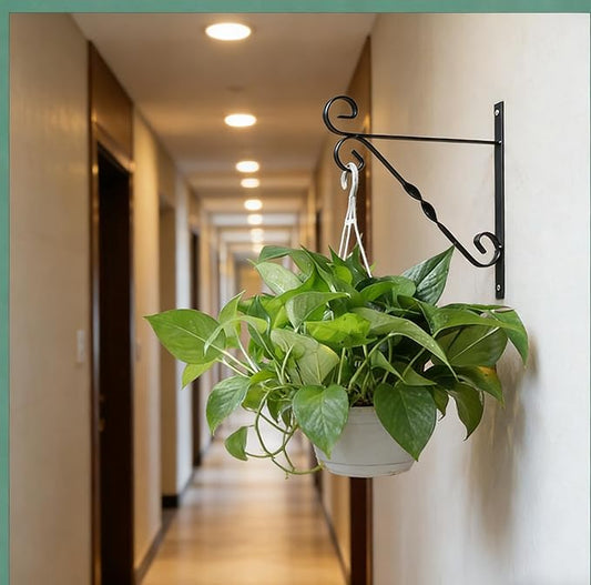 JunC Black Iron Candle Holder Hanger with Hooks for Hanging Plants Indoor Outdoor Wall Mount, Metal Bracket,Bird Feeder Hook, Wind Chime Holder (10lb Capacity) (Simple)