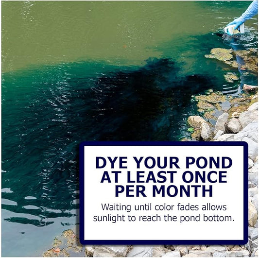 Natural Waterscapes Pond Dye - Vivid Blue Super Concentrate - 1 Quart Treats 1 Acre up to 6 Feet Deep, True Blue Pond Dye, Creates Vibrant Blue Color in Pond Water