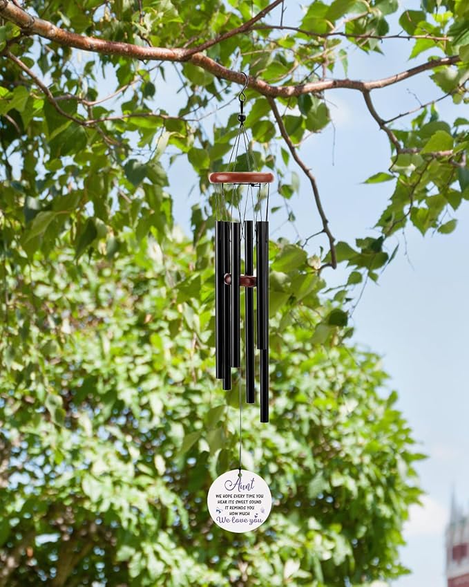 BeauGift Aunt Gifts, Wind Chimes Aunt Birthday Gifts from Niece Nephew, Mothers Day Windchime Gift, Home Decor Keepsake for Best Aunt