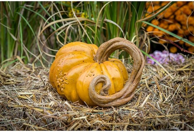 Decorative, Cast Stone Artificial Pumpkin Vine, Fall & Autumn Decor, Halloween Decoration