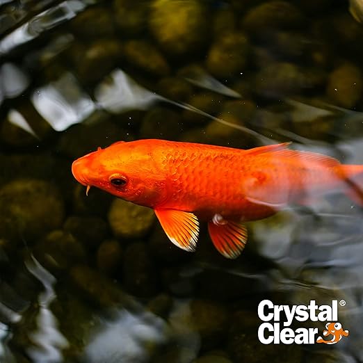 CrystalClear Algae D-Solv Pond Algae Control, Fast-Acting EPA Registered Algaecide, Use in Fountains & Outdoor Ponds Containing Koi & Other Fish, Treats 46,080 Gallons, 1 Gallon