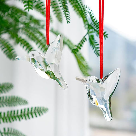 H&D HYALINE & DORA Set of 2 Crystal Hummingbird Suncatchers Rainbow Glass Hummingbird Sun Catcher Hanging Crystals for Window Garden Home Christmas Decor(3 inch)