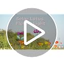 Solar Purple Metal Flower Spinner - LED Wind Pinwheel