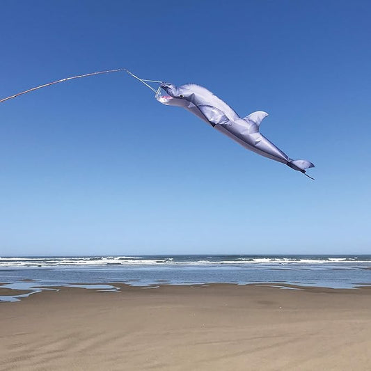 In the Breeze 5157 — Dolphin 48-inch Fish Windsock-Realistic Fishsock