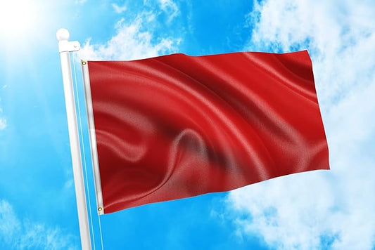 DMSE Solid Red Flag, 2x3 Flag, UV Resistant, Fade Resistant Material with Metal Grommets (2ft x 3ft), (Polyester), (Red)