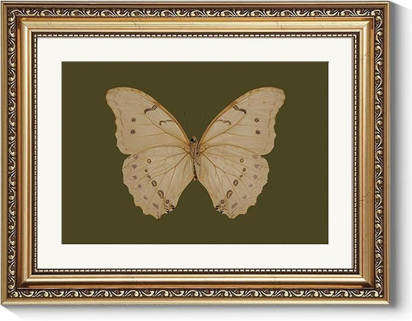 ARPEOTCY Vintage Gold Framed Wall Art, Classical White Butterfly Paintings, Dark Moody Green Canvas Prints Artwork with Frame, Victorian Wall Decor for Living Room Bathroom Bedroom 11x14 inch