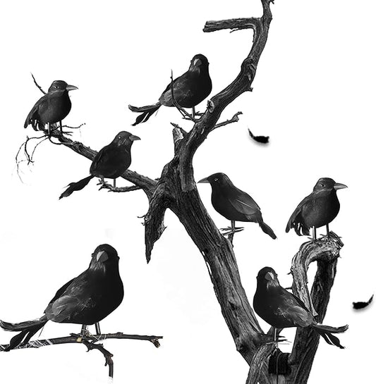 kemooie 6 Packs Real Feathered Halloween Black Crows, Handmade Realistic Crow with Real Feathers Raven Birds for Yard Tree Garden Patio Indoor Outdoor Halloween Decorations