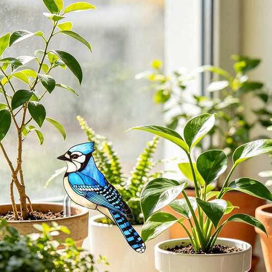 Hummingbird Gifts for Women Mom Grandma, Hanging Planter for Indoor Outdoor Garden, Bird Lover Plant Decor, Mothers Day Birthday Gifts from Daughter Son(12)