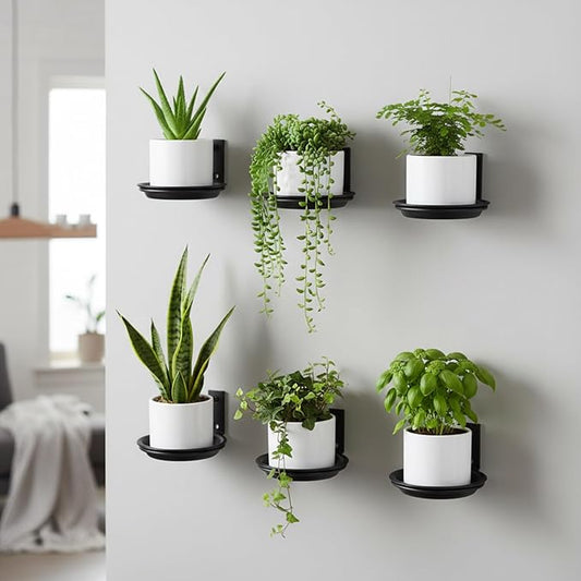 6 Pack 6'' Wall Mount Plant Holder with 8 Replaceable Trays, Heavy Duty Metal Flower Pot Holder Ring, Plant Hanger for Wall Indoor, Ring Planter Bracket for Outside Outdoor Bird Feeder Bath