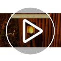 Solar Torch Lights - 33" Flickering Flame Outdoor