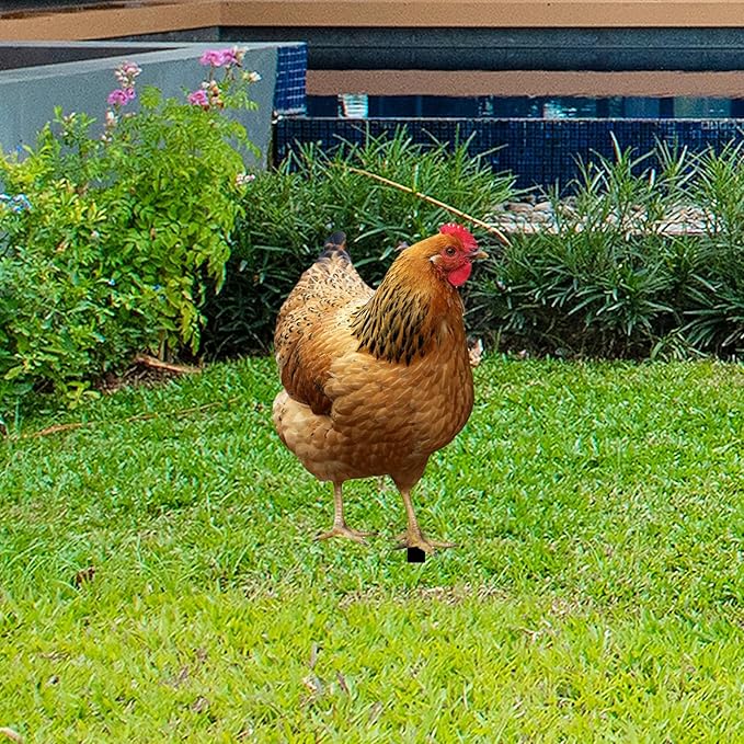 Hen Statue Garden Stake Animal Sculpture Lifelike Lawn Sign Metal Realistic Yard Art Chicken Figurine Ground Insert for Floor, 31.5x17.4x0.1cm