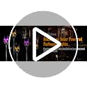 Halloween Solar Skull Lights - 8 Pack