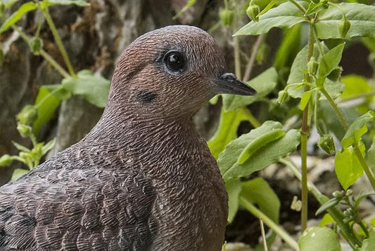 Hi-Line Gift Various Bird on Stump Statues (Mourning Dove)