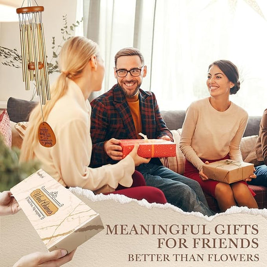 SteadStyle Mother's Day Friendship Gifts for Women, Wind Chime for Best Friends, Friend Gifts for Men - Wonderful Friendship Presents for Special Women BFF Wind Chimes for Garden Patio Backyard