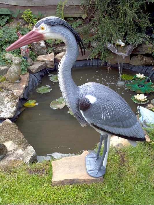 Pond H2o Blue Heron Decoy with Legs & Stake 30'' (76cm) Tall, Adult Blue Heron Statue for Backyard Koi Fish Ponds, Yards & Water Gardens