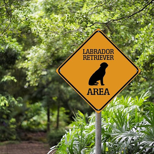 Labrador Retriever Crossing Xing Sign Beware of Dog Metal Sign Labrador Retriever Warning Sign Crossing Zone Sign for Farm Yard Front Door Indoor Outdoor Street Sign 10x10in