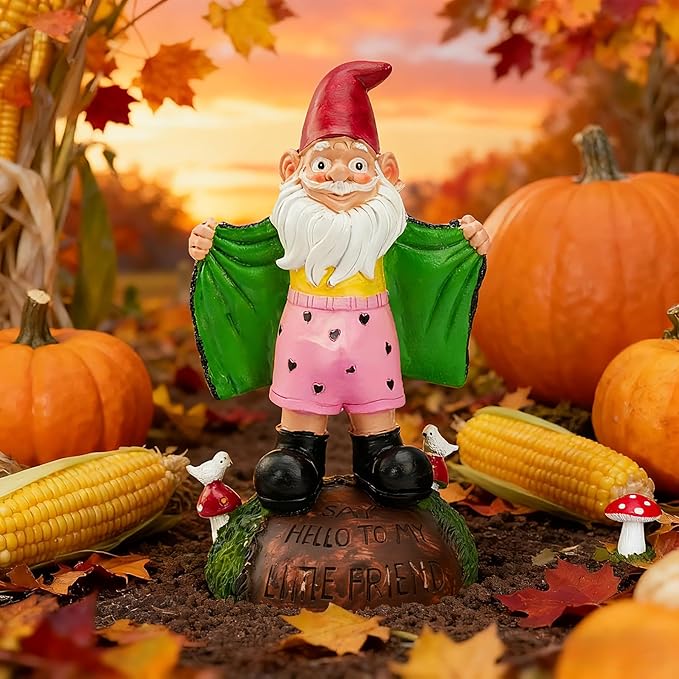Teaeeno Funny Garden Gnome Statue - Say Hello to My Little Friends Sign, Weather Resistant Outdoor Decor, Patio & Yard Art, Unique Gift for Gardeners & Gnome Enthusiasts