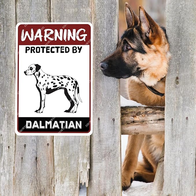 snowsun Warning Dog Metal Signs Protected by Dalmatian Tin Sign for Home Garden Yard Street Wall Decor 8×12 Inches