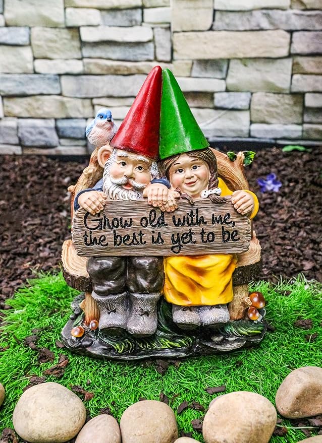 Ebros Grow Old with Me Mr and Mrs Gnome Statue 11" Tall for Patio Garden Lawn Home Decor Figurine (1)