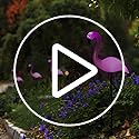 Solar Flamingo Light 3 Pcs