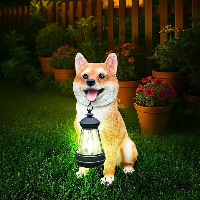 Zen-Porch Akita Accent with Solar Lantern and Double-Sided Sign, Sitting Brown & White Japanese Akita Statue for Steps, Balcony & Entryway
