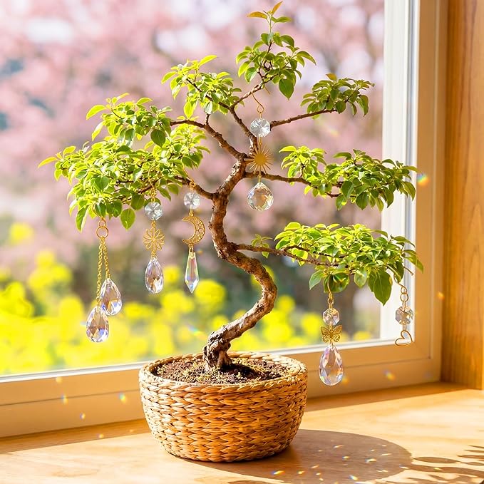MTLEE 6 Pcs Crystal Suncatchers Plant Decorations Charms Hanging Prisms for Window Indoor Garden Plant Pot Holder Hanger Tree Vine Home Chandeliers Outdoors(Fresh)