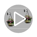 Metal Wall Mount Ceiling Hooks - 2pc Set for Plants & Lanterns