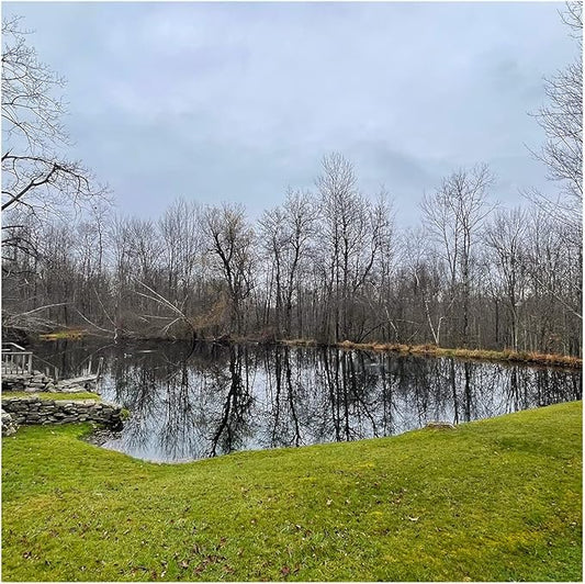 Natural Waterscapes Pond Dye - Reflective Black Super Concentrate - 1 Quart Treats 1 Acre up to 6 Feet Deep, Black Pond Dye Creates a Dark Mirrored Reflection of Surroundings (1)
