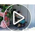 Solar Garden Gnome Statues Outdoor, Fairy Rocking Chair Gnomes Reading Book Succulents Figurines Lights Yard Art Sculpture Home Decor for Outside Patio Balcony Lawn, Unique Loved One Gifts for Mom