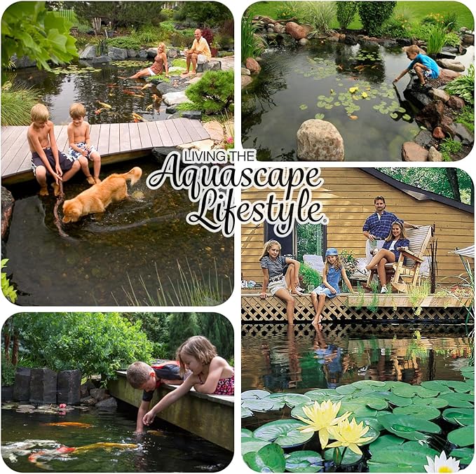 Aquascape Clear Water Treatment for Koi and Fish Ponds, Blend of Clarifiers to Clear Cloudy or Discolored Water and Reduce Debris, 1 Gallon / 3.78 L | 96068