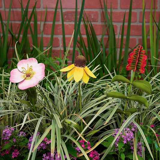 The Round Top Collection - Wildflower Mexican Hat Sm Metal