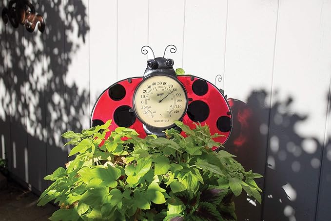 Poolmaster 54578 Ladybug Wall Décor and Thermometer for Home or Garden, Red