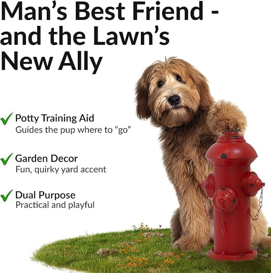 Sunnydaze Fire Hydrant for Dogs to Pee On - Dog Fire Hydrant Pee Post for Potty Training - Red Powder-Coated Paint Finish - 21" H