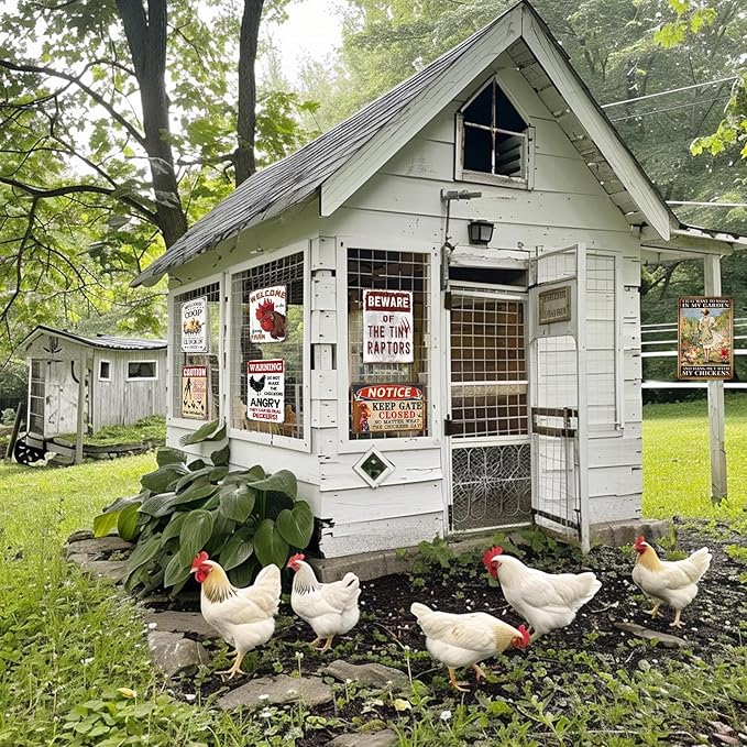 Chicken Coop Signs Warning Do Not Make The Chickens Angry Tin Sign Funny Outdoor Metal Sign 8x12 Inch