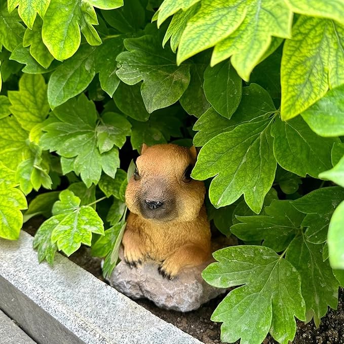 Groundhog Garden Statue 5.2 Inch - Outdoor Lawn Decor Animal Figurine for Yard Patio Flower Bed, Weather Resistant Resin Sculpture, Spring Gardening Gift