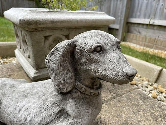 Standing Dachshund Stone Statue | Reconstituted Stone Puppy Dog Outdoor Garden Ornament Decoration