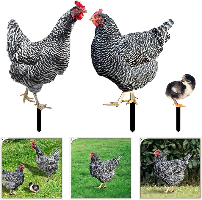 HANABASS 3pcs Acrylic Hen Chick Yard Arts Decorative Chicken Realistic Shaped Yard Lawn Stakes Garden Decorative Stakes