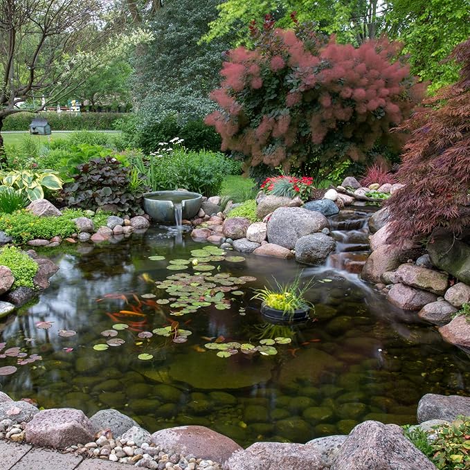 Aquascape EcoBlast Contact Granular Algaecide for Ponds, Waterfalls, Fountains, Streams, and Rocks, 38.4 oz / 1.1 kg, 29312