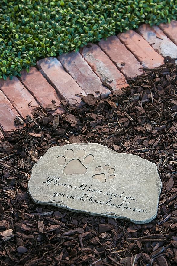 Evergreen Garden Pet Paw Print If Love Could Have Saved You Garden Memorial Stone | Outdoor Safe | 12-Inch | Rainbow Bridge | Remembrance for Lost Love One