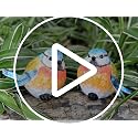 Small Birds Garden Statue - Outdoor Decoration Figurine