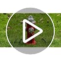 Dog Fire Hydrant Pee Post - 14.5"