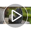 Garden Dragon Statue - Solar Powered Glowing Glass Ball, Resin