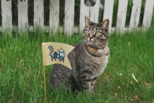 Garden Flags vs Yard Signs: Which Is Better for a Windy Front Yard?