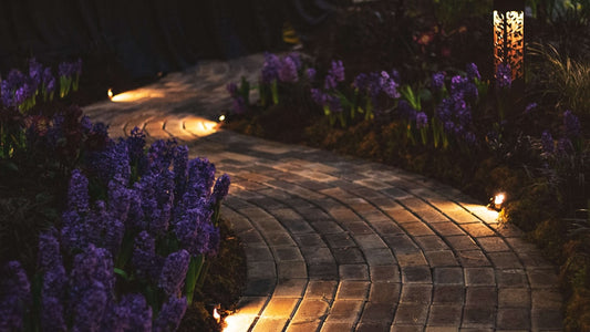 How to Make DIY Solar Garden Lights for a Shady Backyard Path