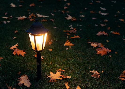 Solar Pathway Lights vs Lanterns for a Front Walkway: Which Outdoor Lighting Works Best?
