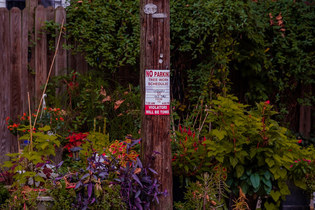 Garden Flags vs Yard Signs: Best Rental Front Yard Décor for Style, Rules, and Curb Appeal