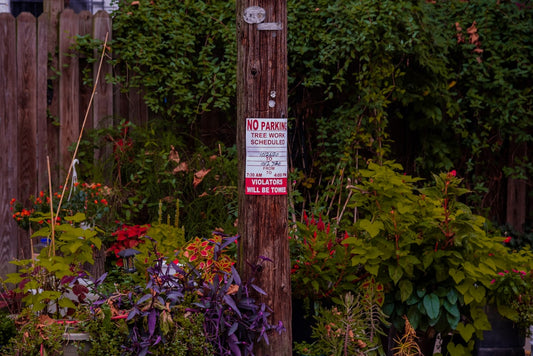Garden Flags vs Yard Signs: Best Rental Front Yard Décor for Style, Rules, and Curb Appeal
