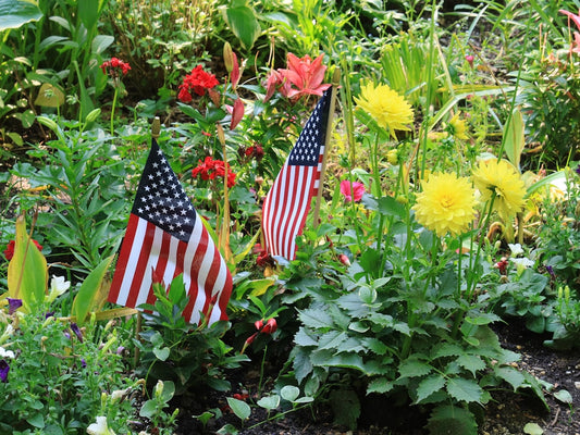 Garden Flags vs Yard Signs: Which Is Better for a Windy Front Yard?