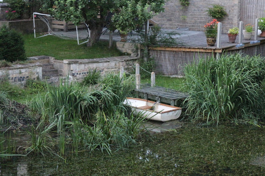How to Stop a Small Backyard Pond from Looking Murky: Clear Water Fixes That Actually Work