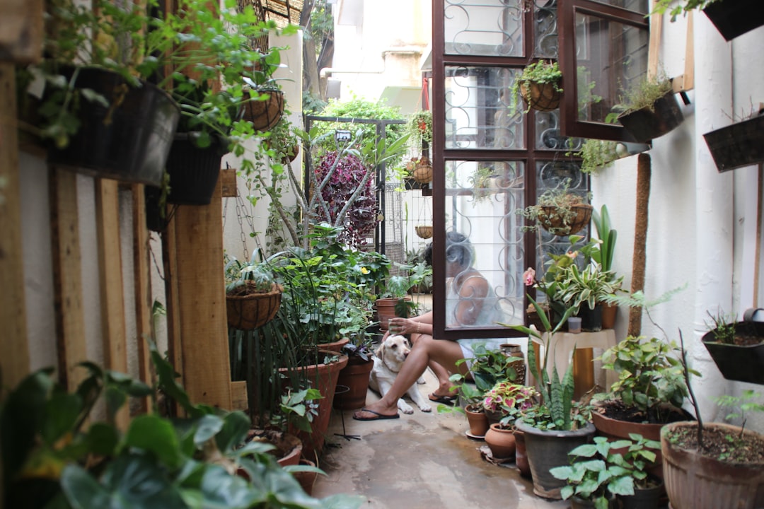Transform Your Backyard with a DIY Outdoor Herb Garden: Creative Planters and Decor Ideas